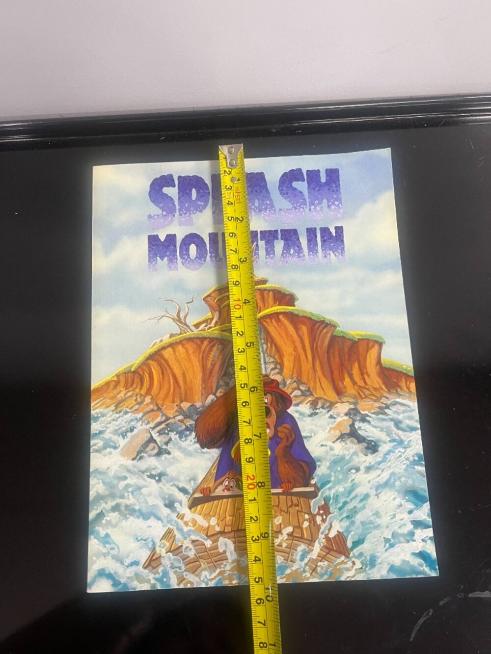 Disneyland Splash Mountain Ride Photo Frame Folder Disney Collectible - Picture 9 of 10